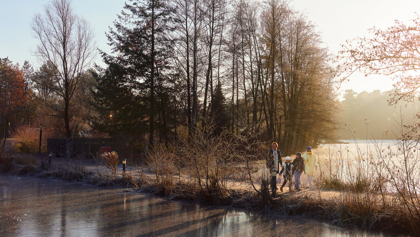 Catch game background